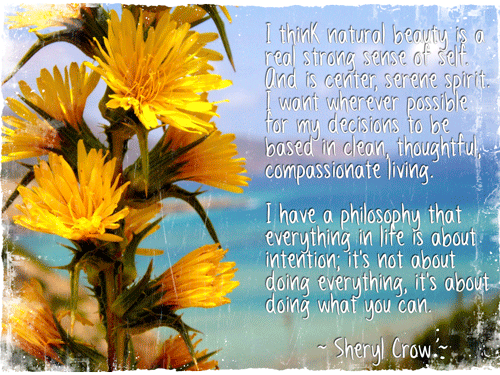 Sheryl Crow Quote
